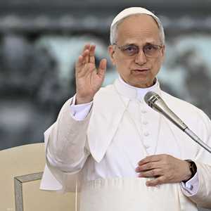 البابا ليو الرابع عشر