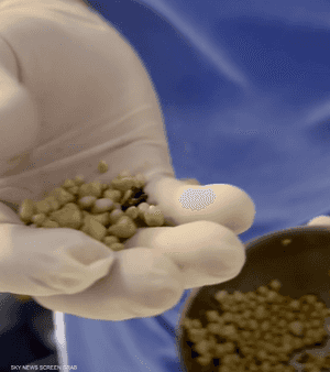 حدد الطبيب سبب الحصوات بكثرة شرب المشروبات الغازية