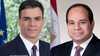 السيسي وسانشيز يؤكدان رفضهما تهجير سكان غزة