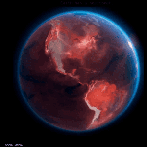 بيانات أقمار صناعية حقيقية توثق التمثيل الضوئي على الأرض