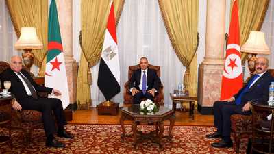 مصر والجزائر وتونس: نرفض كل أشكال التدخل الخارجي في ليبيا