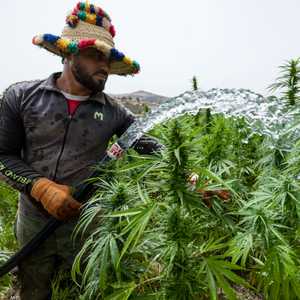 حر شديد في المغرب