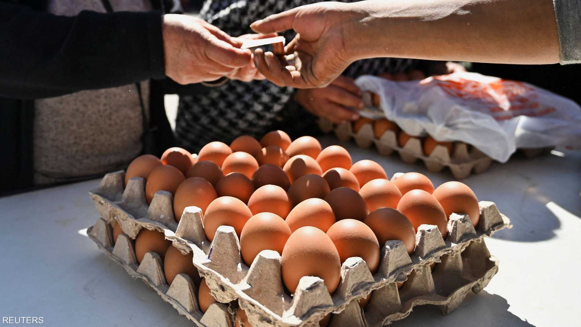 أزمة صحية.. لماذا سُحبت 1.7 مليون بيضة من الأسواق الأميركية؟ 
