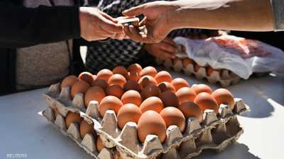 فيروس بيئي يهزم "السالمونيلا" ويعزز سلامة الغذاء