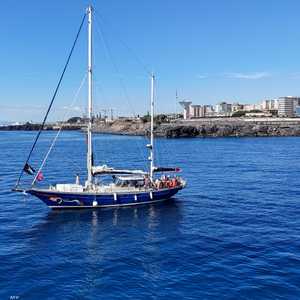 "مادلين" المتجهة إلى قطاع غزة