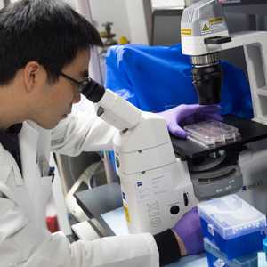 وجود هذه المواد يثير تساؤلات حول تأثيراتها على الخصوبة