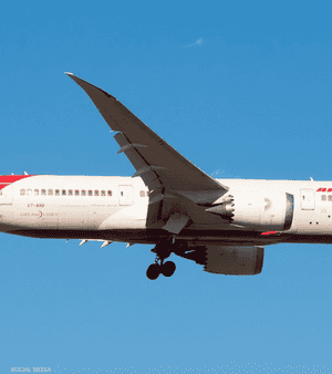 الطائرة من طراز بوينغ 787-8