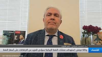 الأستاذ في الاقتصاد السياسي ناصر قلاوون