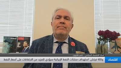 الأستاذ في الاقتصاد السياسي ناصر قلاوون