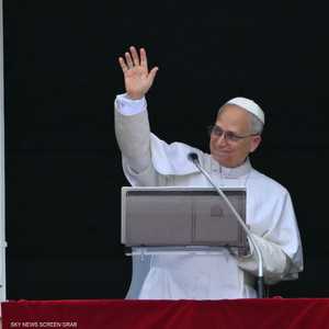 البابا لاوون الرابع عشر