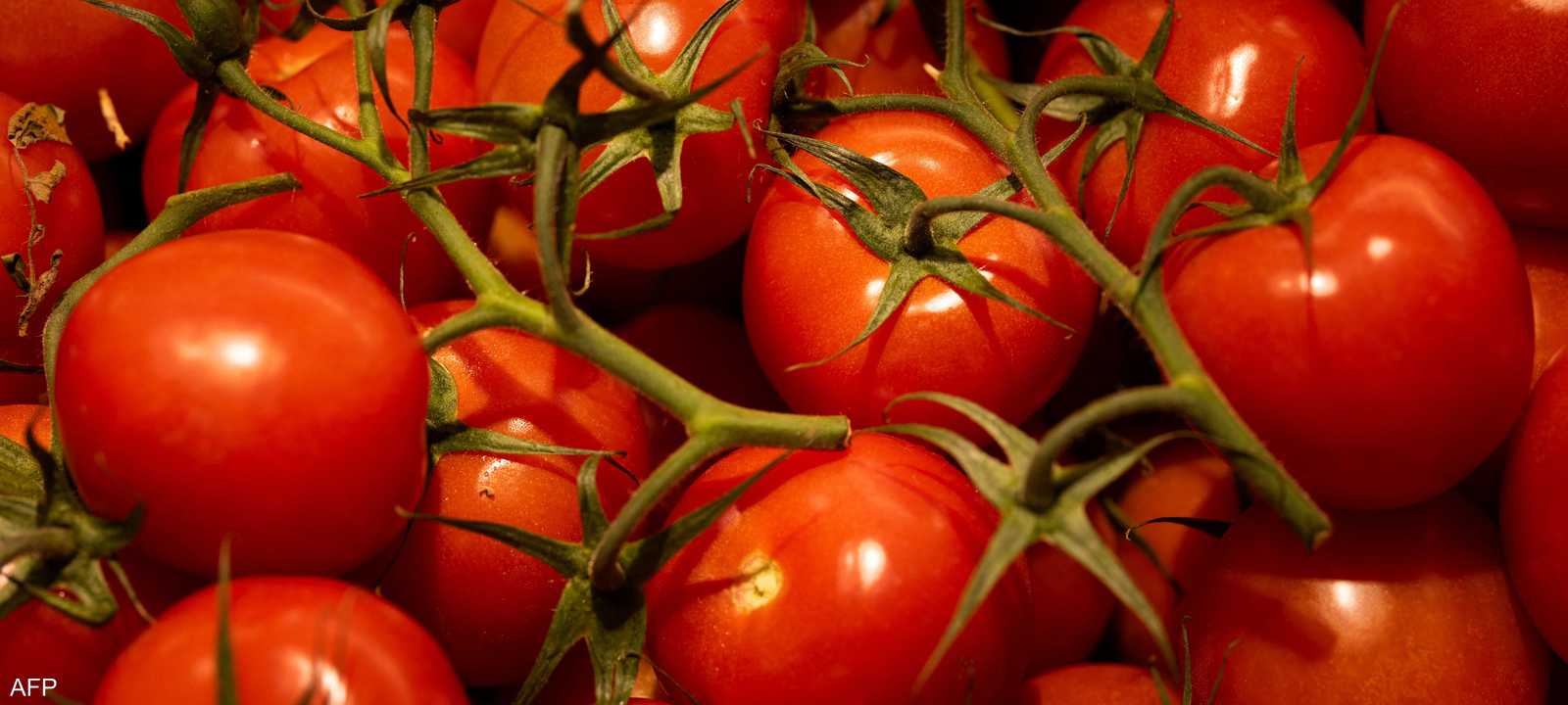 الطماطم غنية بالبوتاسيوم والصوديوم