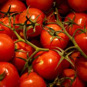 الطماطم غنية بالبوتاسيوم والصوديوم