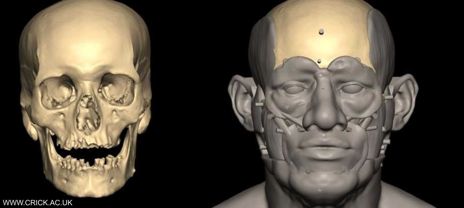 الرجل عاش قبل نحو 4500-4800 عام في مصر القديمة