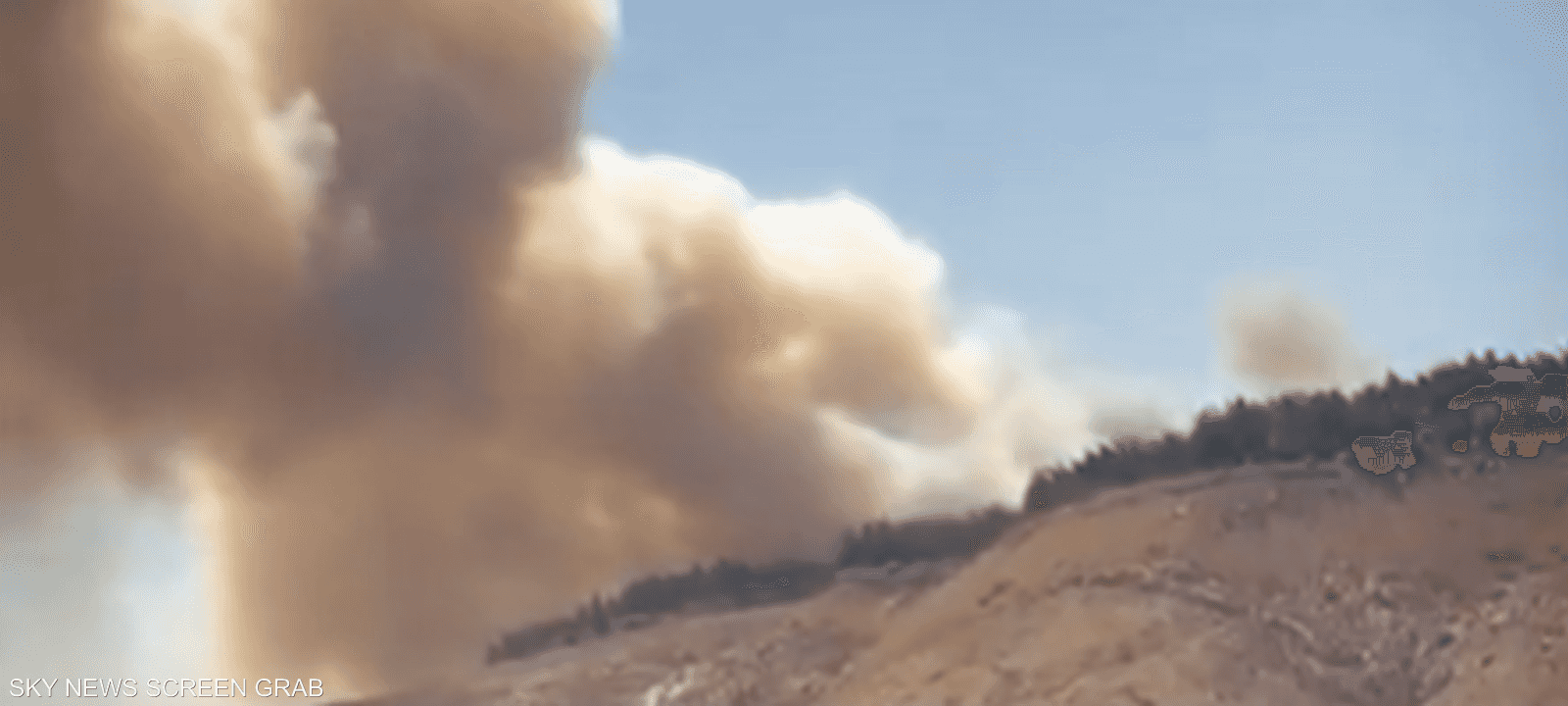 الحريق نشب في منطقة حراجية