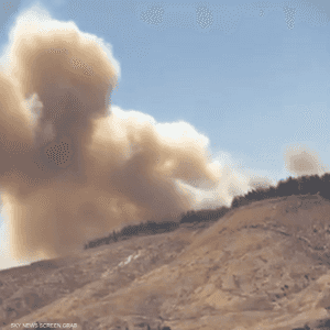 الحريق نشب في منطقة حراجية