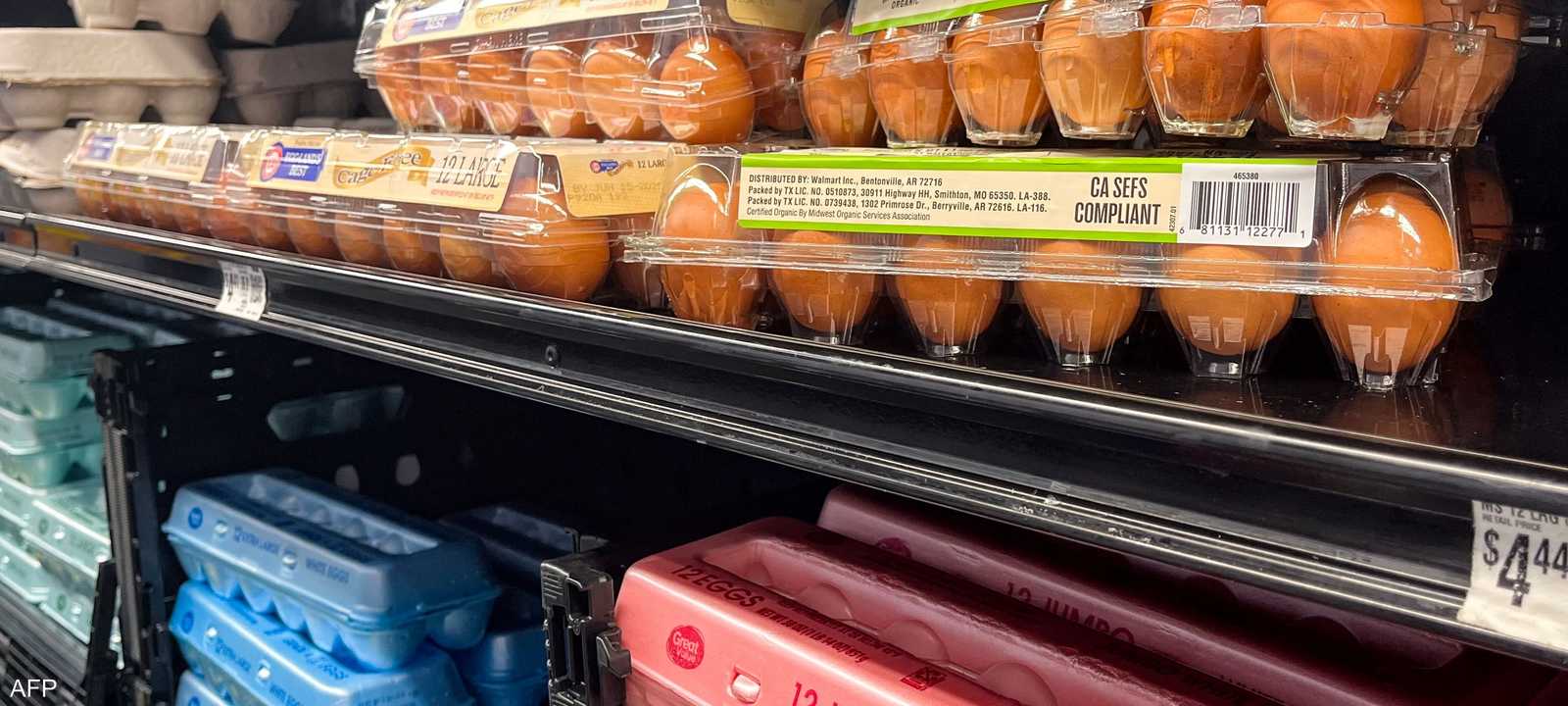 تناول البيض يعزز صحة العظام والجهاز المناعي