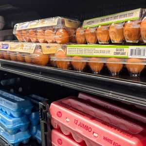 تناول البيض يعزز صحة العظام والجهاز المناعي