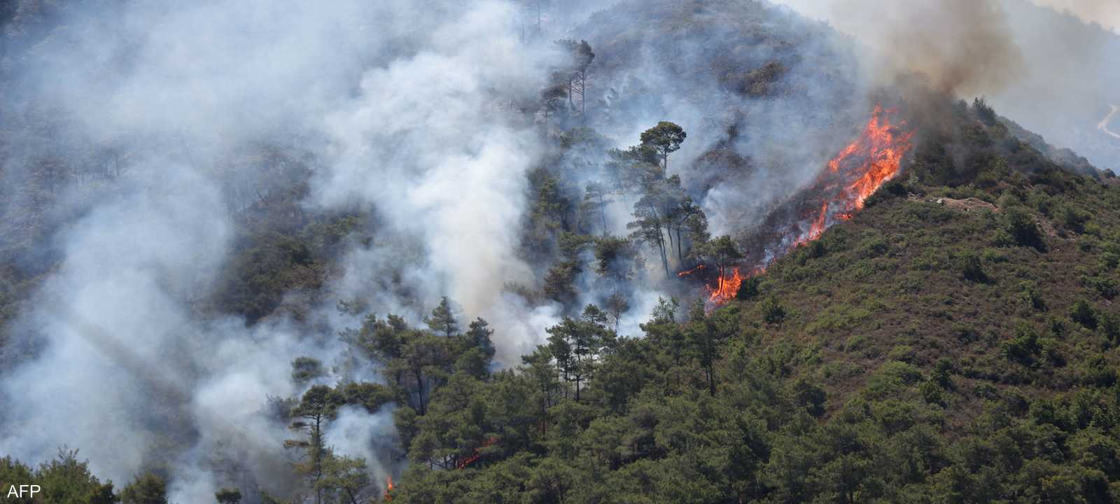 حرائق سوريا