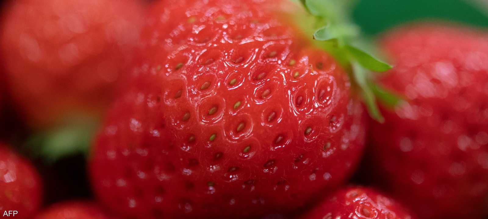 تعد الفراولة من الفواكه الغنية بالفيتامينات