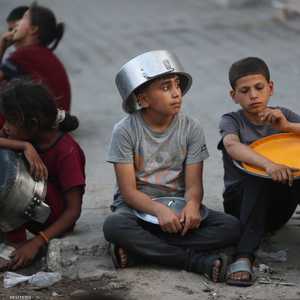 يحتاج قطاع غزة 500 إلى 600 شاحنة مساعدات كل يوم.