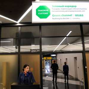 كانت المسافرة تعبر الممرّ "الأخضر"