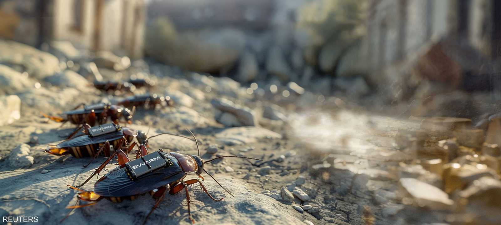 صورة توضيحية رقمية لصراصير آلية