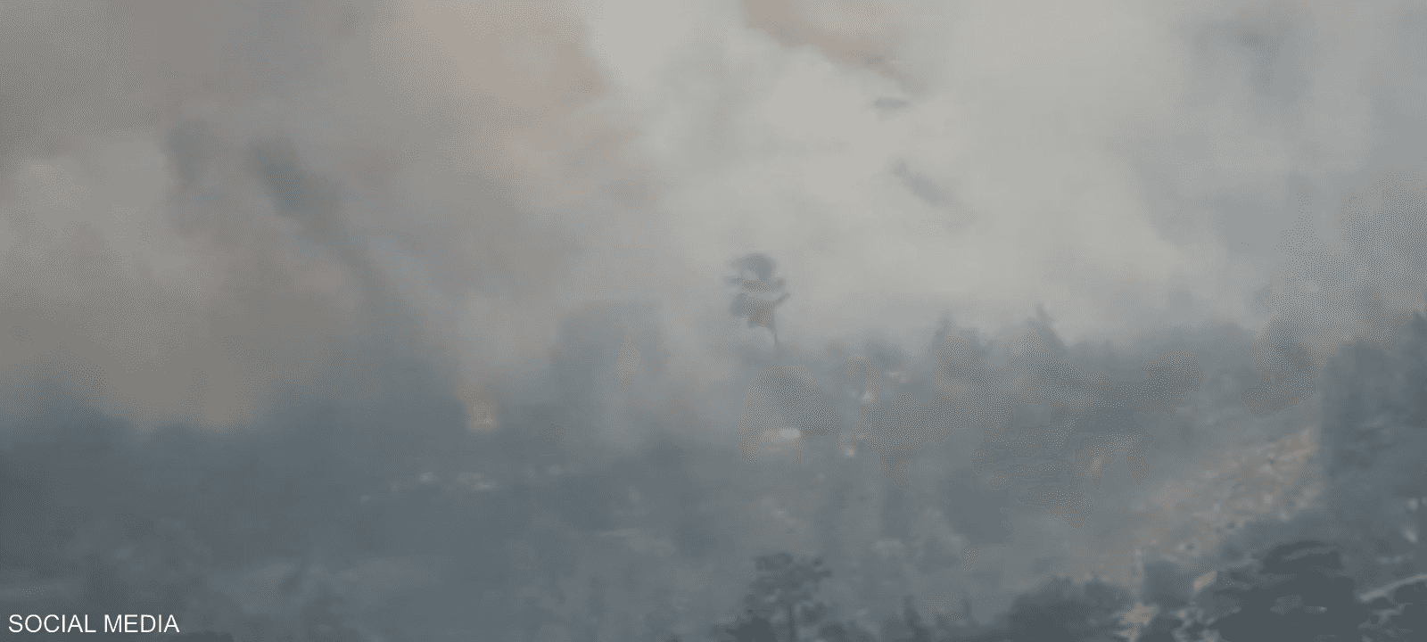 أخمدت الحماية المدنية حرائق في أنحاء تونس