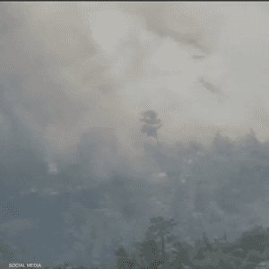 أخمدت الحماية المدنية حرائق في أنحاء تونس