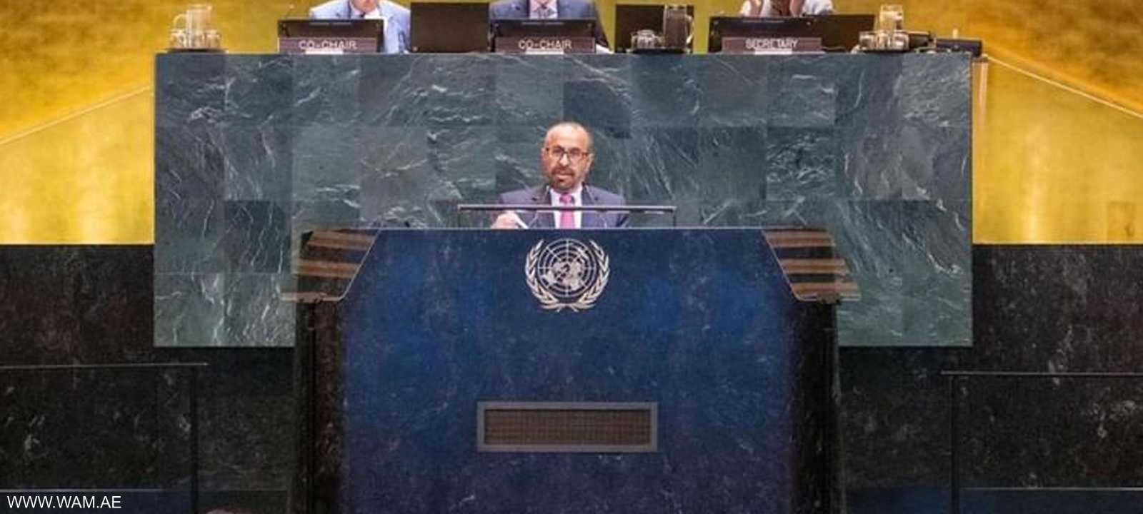 وزير الدولة في وزارة الخارجية الإماراتية، خليفة شاهين المرر