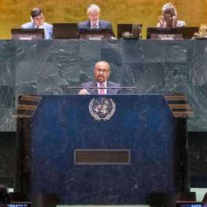 وزير الدولة في وزارة الخارجية الإماراتية، خليفة شاهين المرر