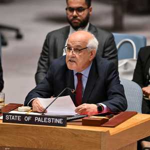 مندوب فلسطين في الأمم المتحدة، رياض منصور