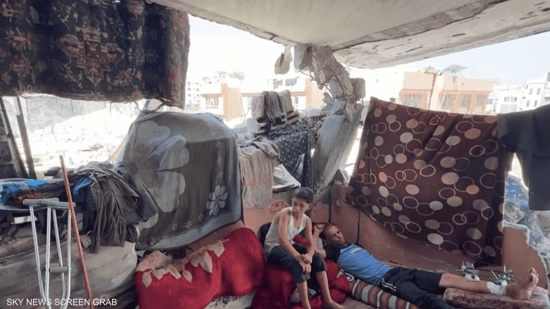 فلسطين