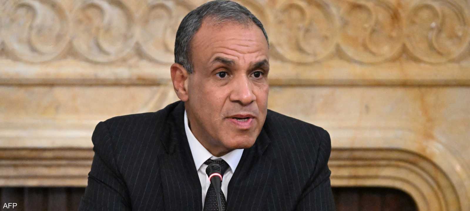 بدر عبد العاطي