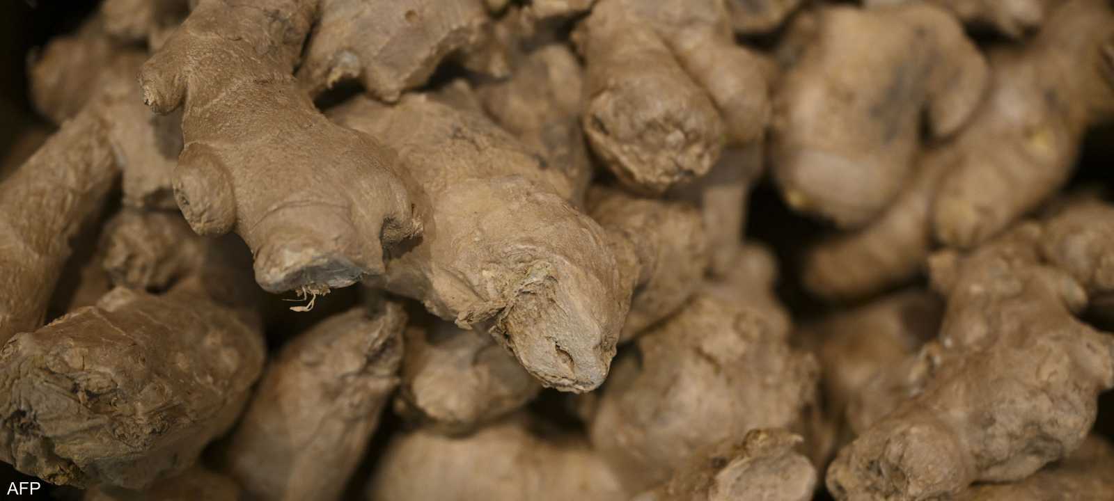 الزنجبيل له فوائد كبيرة لصحة الجسم