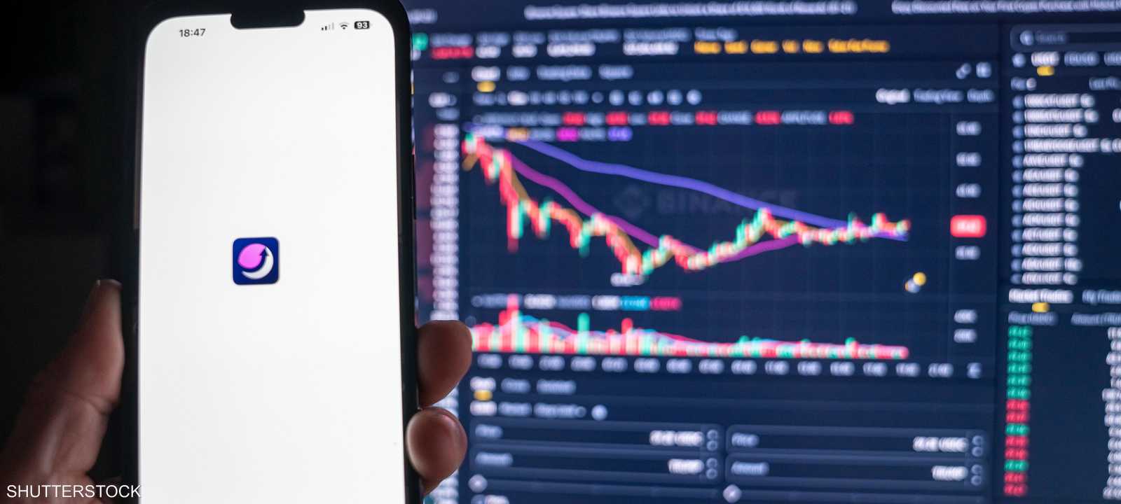 لماذا ينساق المستثمرون وراء أسهم الميم؟