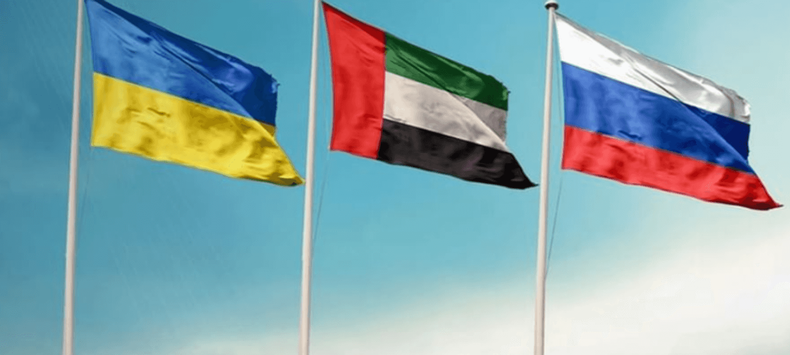 بلغ مجموع الوساطات الإماراتية التي تمت خلال الأزمة 17 وساطة