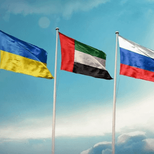 بلغ مجموع الوساطات الإماراتية التي تمت خلال الأزمة 17 وساطة