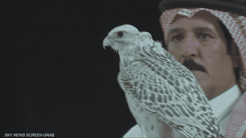 الرياض تستضيف المزاد الدولي لمزارع إنتاج الصقور