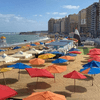 شواطئ الإسكندرية خالية