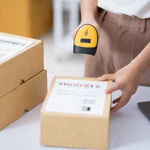 الشحنات الصغيرة