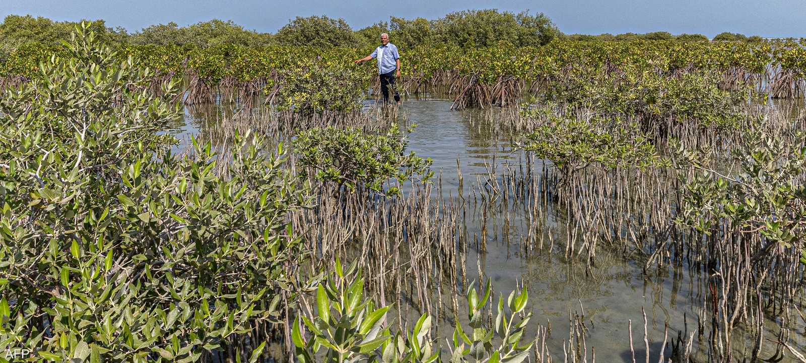مخاوف من تأثير الجفاف على الزراعة والأمن الغذائي