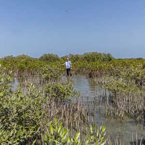 مخاوف من تأثير الجفاف على الزراعة والأمن الغذائي