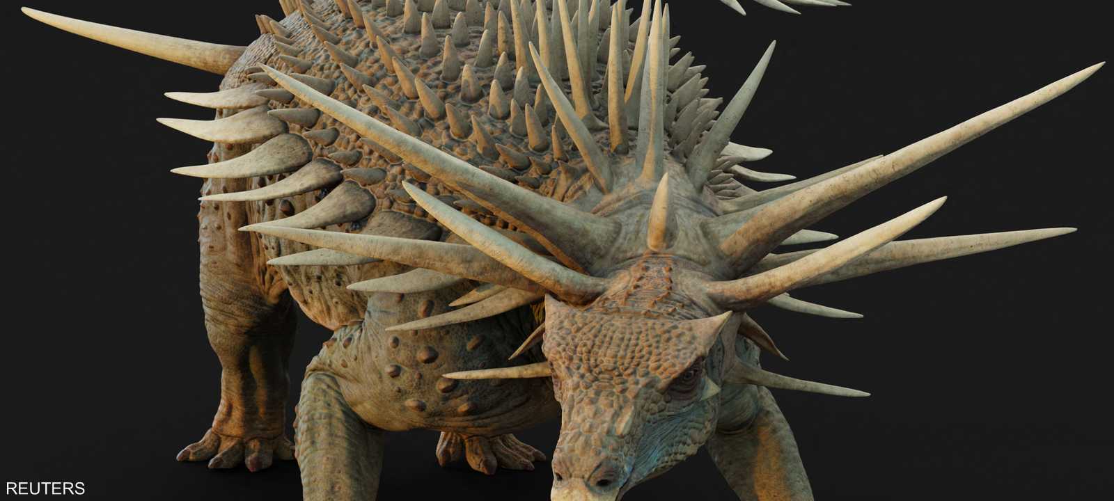 ربما كان لهذه الدروع البارزة الفخمة دور مزدوج