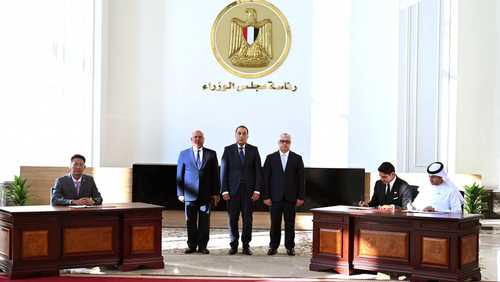 مصر توقع مشروعا للطاقة الشمسية مع الإمارات والبحرين والصين