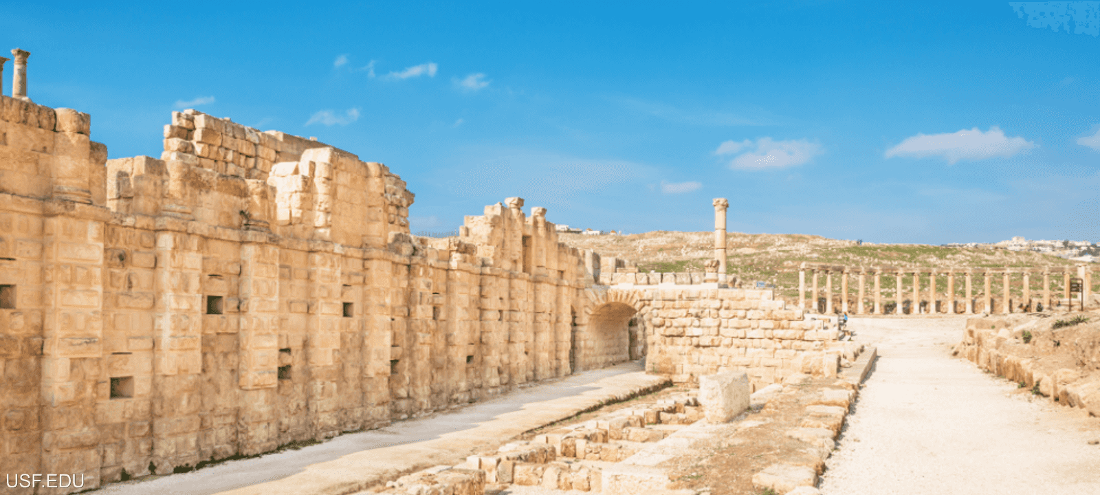 حل لغز أول جائحة في التاريخ من مقبرة جماعية