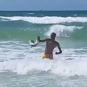 تمساح أثار الذعر على الشاطئ
