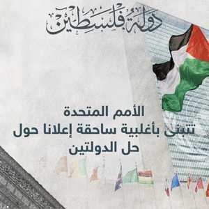 المشروع يؤيد إعلان نيويورك بشأن حل الدولتين