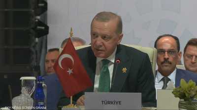 الرئيس التركي رجب طيب أردوغان
