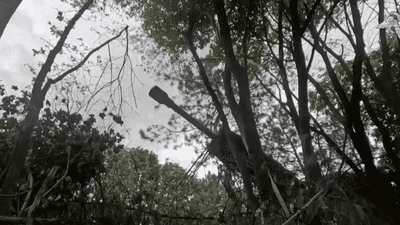 القوات الروسية تكبد جيش أوكرانيا خسائر فادحة