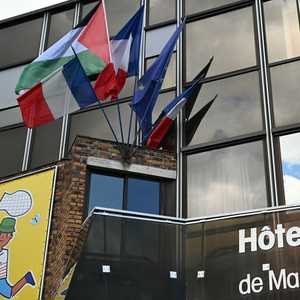 العلم الفلسطيني مرفوعا في مالاكوف